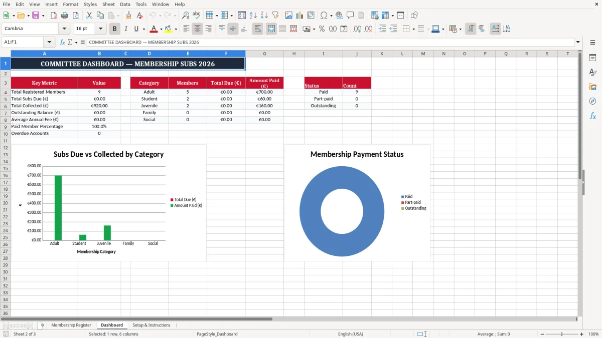 Screenshot 2: Dashboard tab - Excel template gaa club membership subs tracker excel spreadsheet ireland