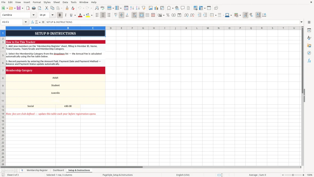Screenshot 3: Setup & Instructions tab - Excel template gaa club membership subs tracker excel spreadsheet ireland