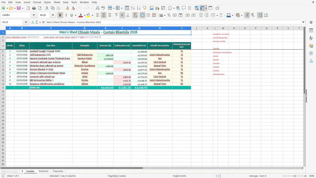 Screenshot 1: Cuntais tab - Excel template mens shed accounts excel template ireland